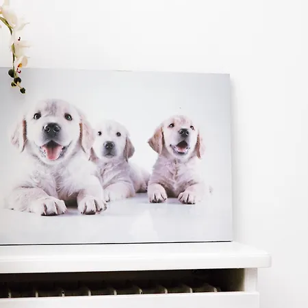 Hubertus Iii * באד פירמונט